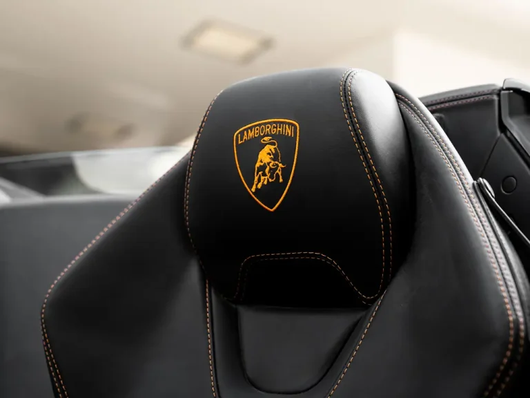 lamborghini Black Matt 9